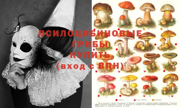 марки lsd Пестово